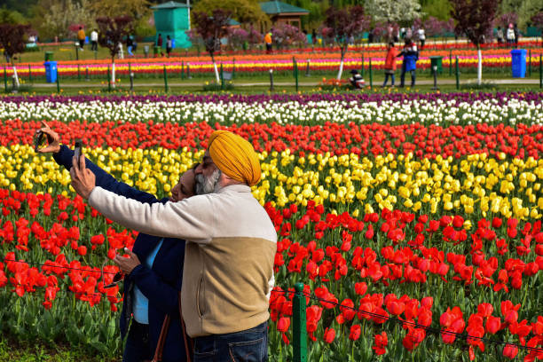 Collection of complementary flowers found in the garden